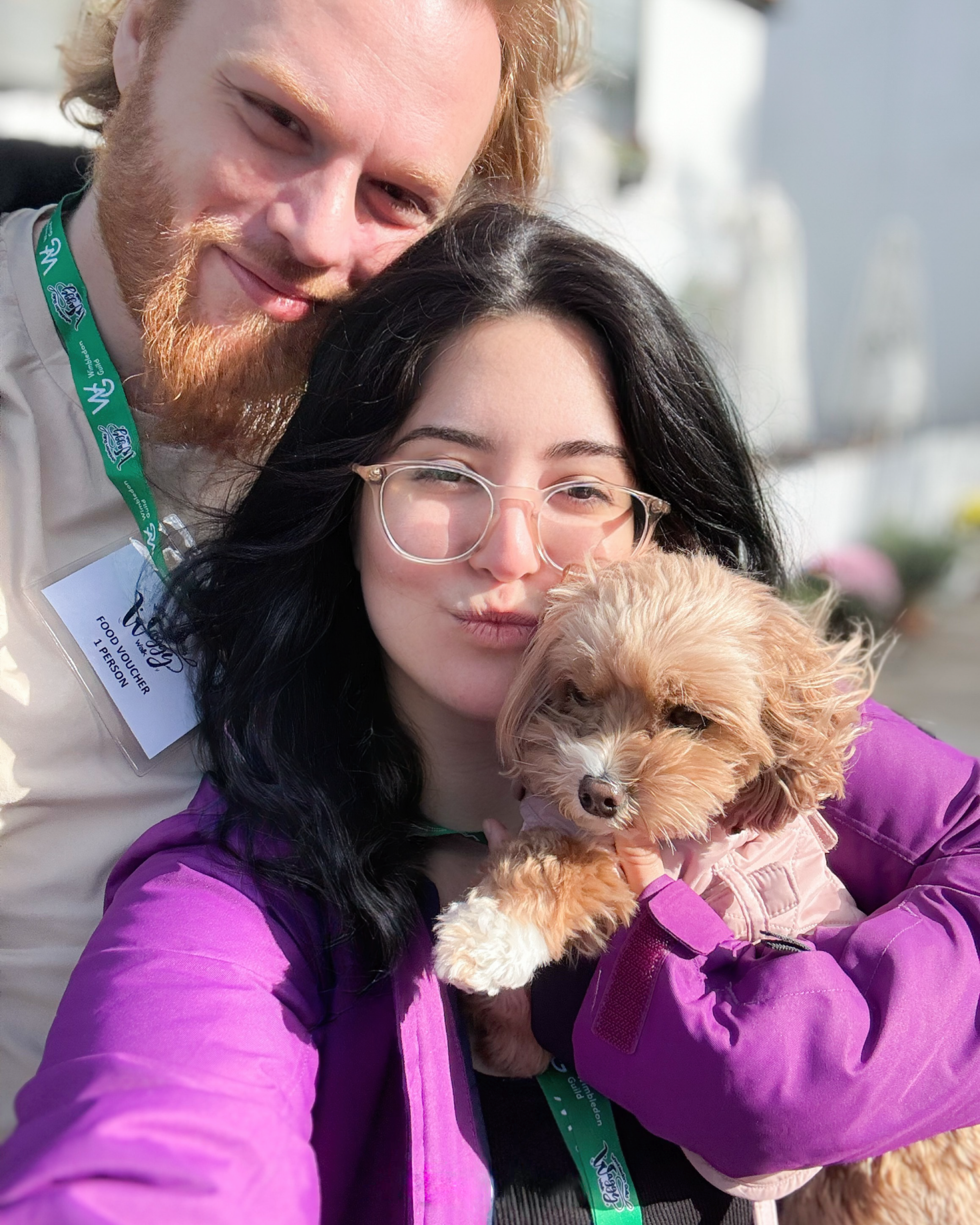 My Wagging Tail pet sitters Wimbledon — dog boarding and house sitting South West and Central London