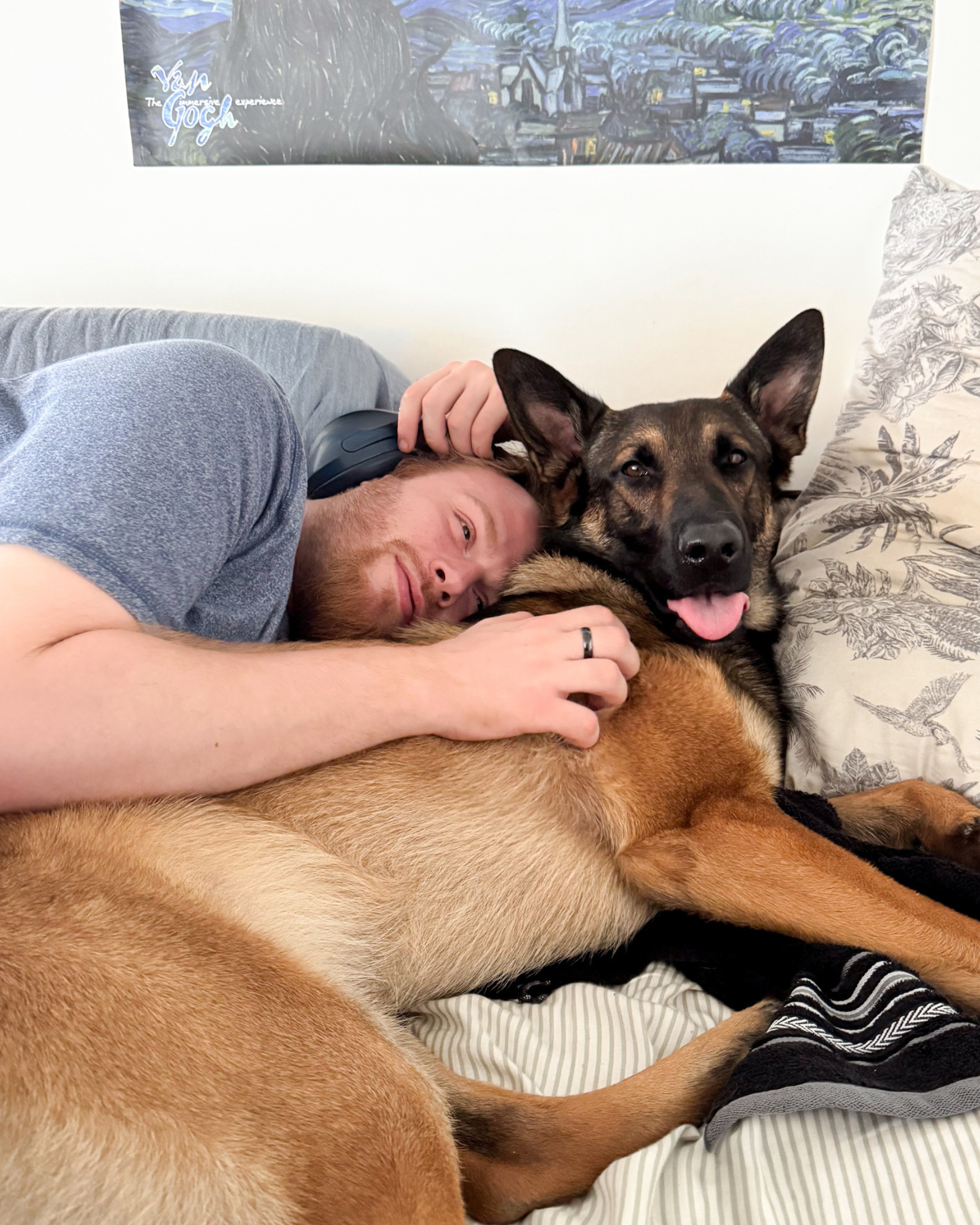 Dog sitter and dog trainer cuddling a German Shepherd at home during a dog boarding stay in Wimbledon, SW London