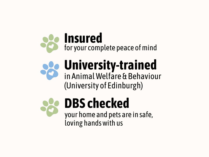 Trusted pet sitting services in London – insured, trained and background checked