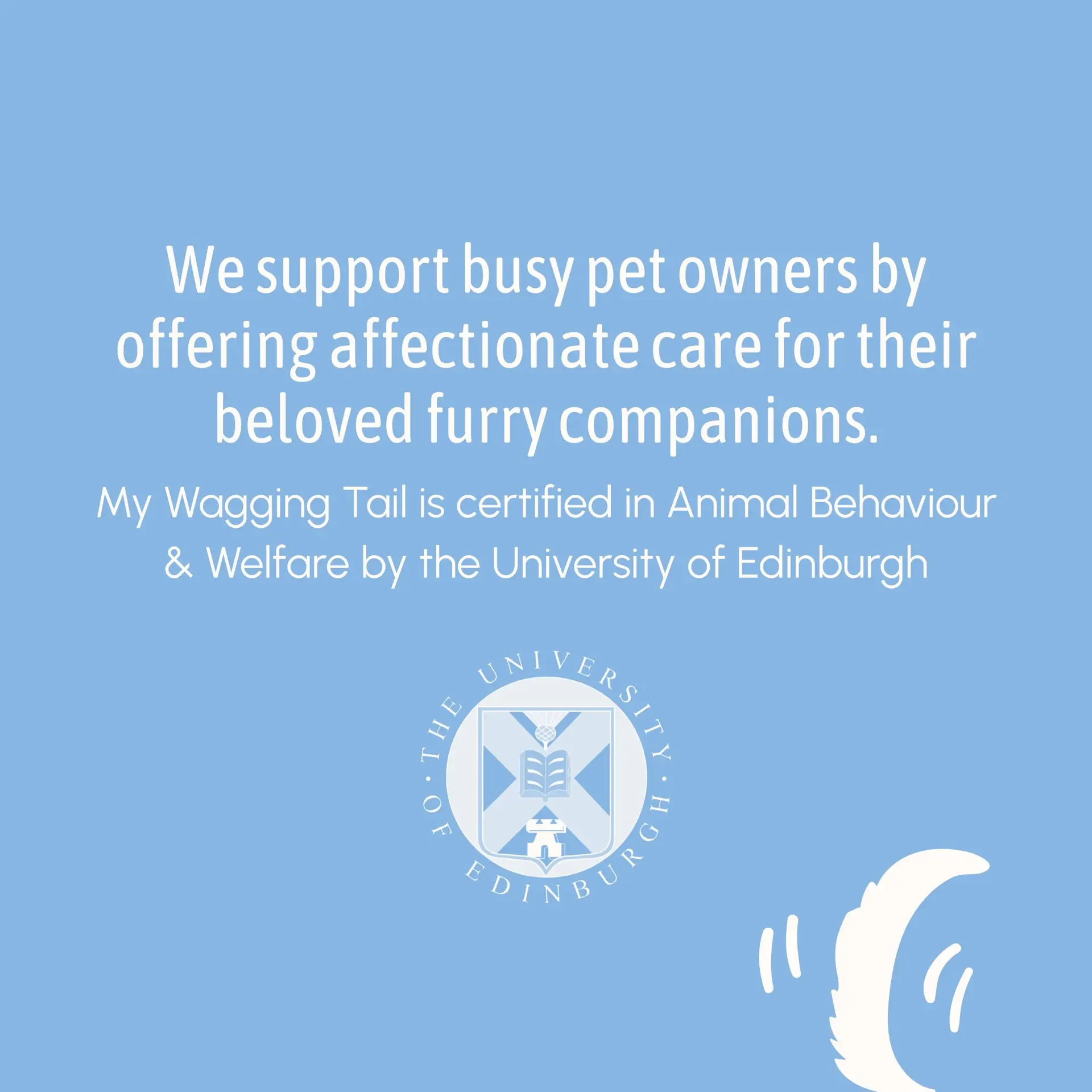 Insured professional pet sitter and dog walker in Wimbledon, SW London
