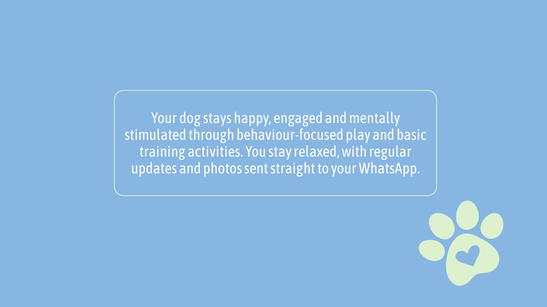 Professional dog care in Wimbledon, South West London — behaviour-focused play, training activities and real-time WhatsApp updates by My Wagging Tail pet sitters.