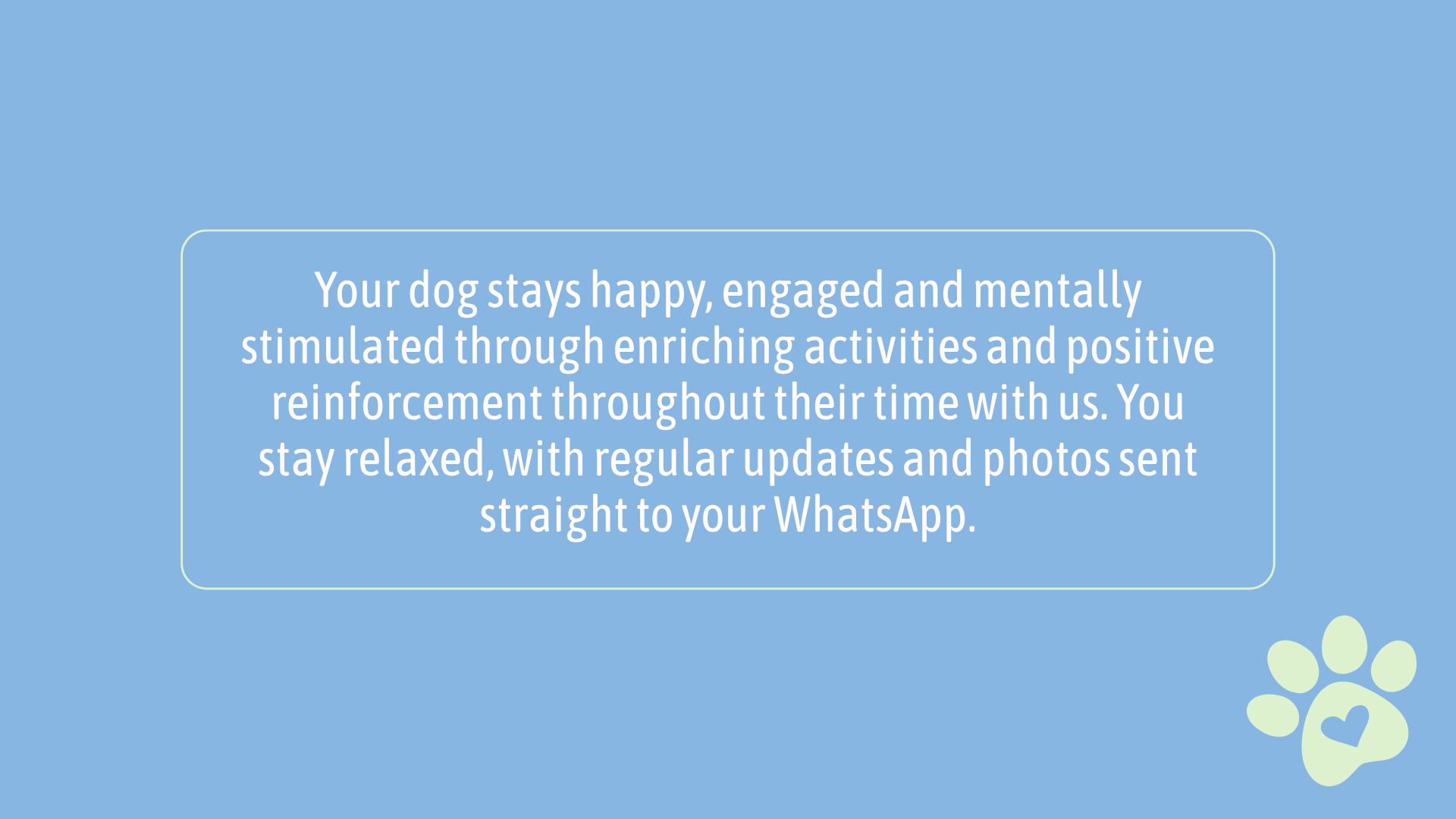 Happy, engaged pets through behaviour-focused play and training. Pet sitting and dog walker in Wimbledon, SW London
