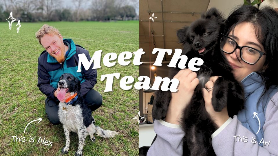 Ari and Alex, pet sitters and dog walkers at My Wagging Tail, Wimbledon, Wimbledon Park, South Wimbledon, Earsfield, Southfields, Merton and Morden.
