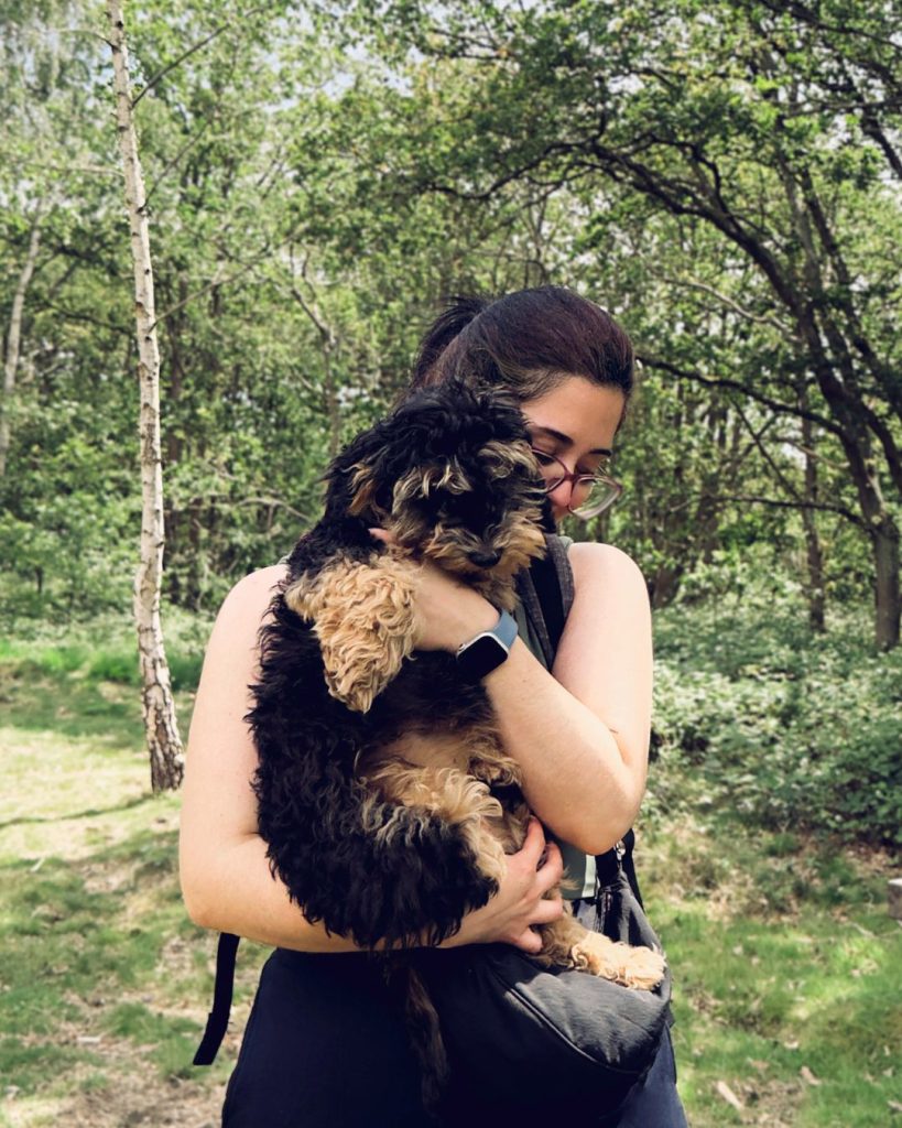 Puppy socialisation walk with a dog walker in Wimbledon Common, Wimbledon and Southfields